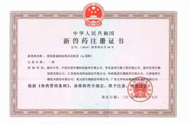 Playaceƽ̨(�й���)���޹�˾-�ٷ���վ