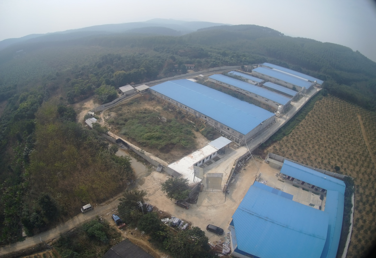 ���ι�˾������