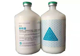 Playaceƽ̨(�й���)���޹�˾-�ٷ���վ