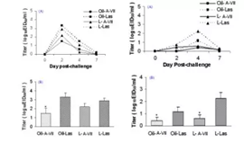 Playaceƽ̨(�й���)���޹�˾-�ٷ���վ