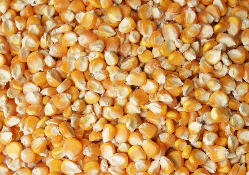 һ������