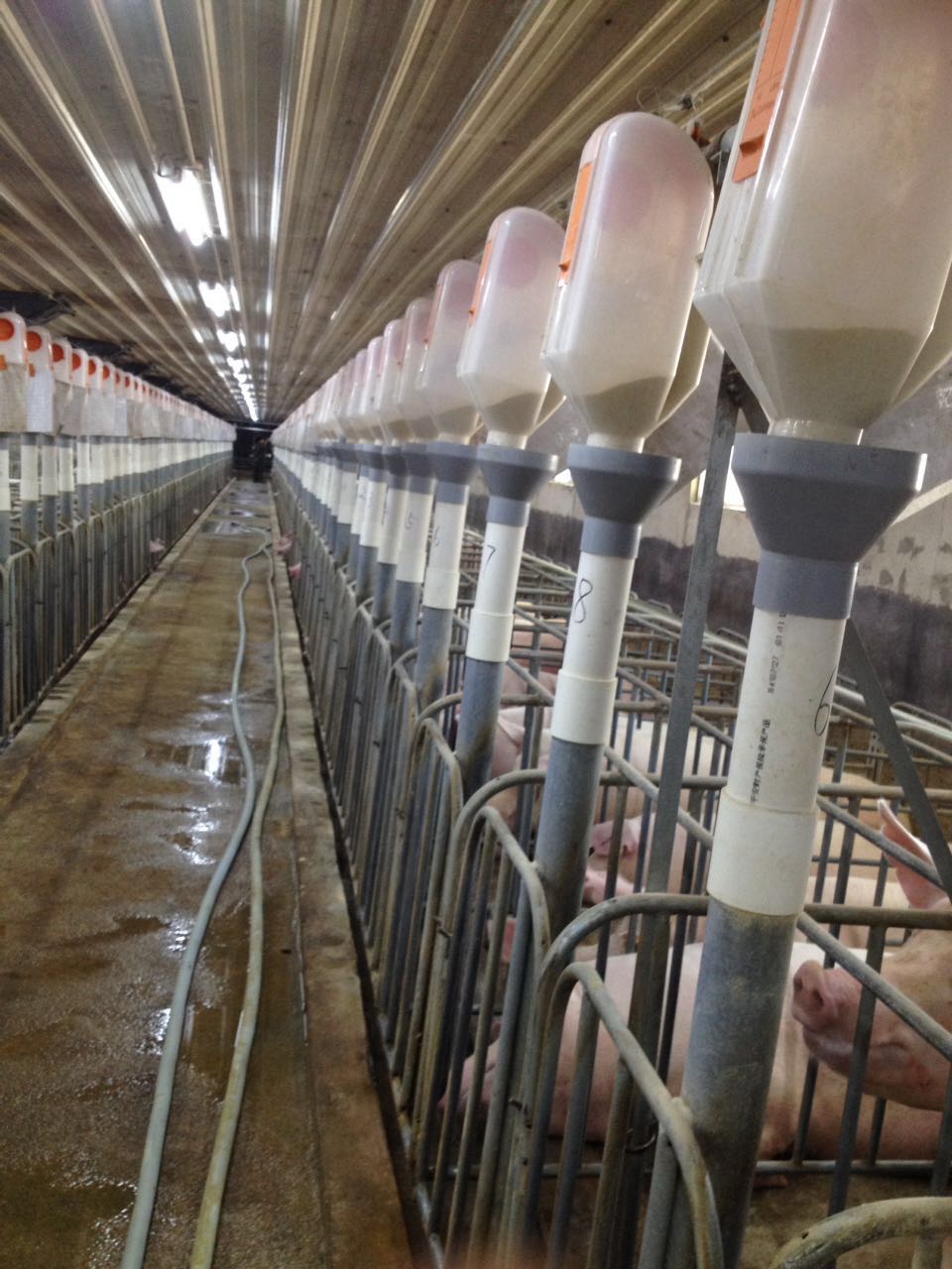 �����Զ�ι��ϵͳ