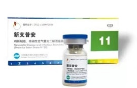 Playaceƽ̨(�й���)���޹�˾-�ٷ���վ