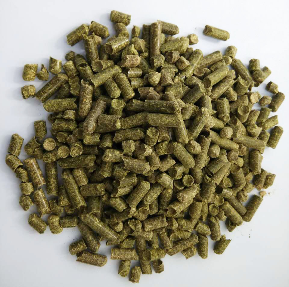 ��ޣ������������