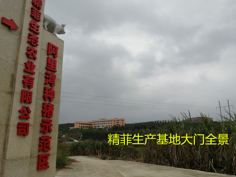 �����������ش���ȫ��ͼ_����