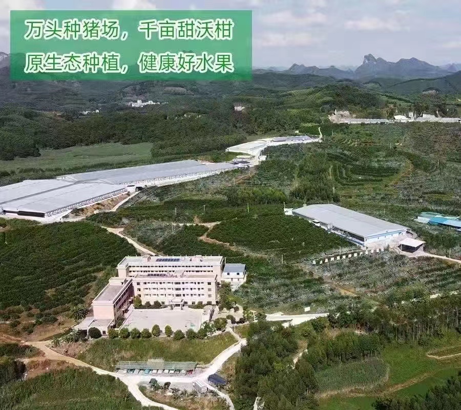 ΢��ͼƬ_202201280958383