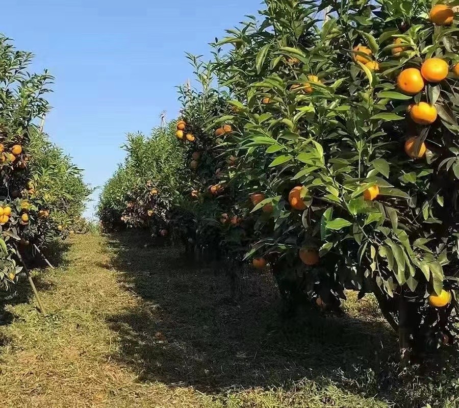 ΢��ͼƬ_202201280958382