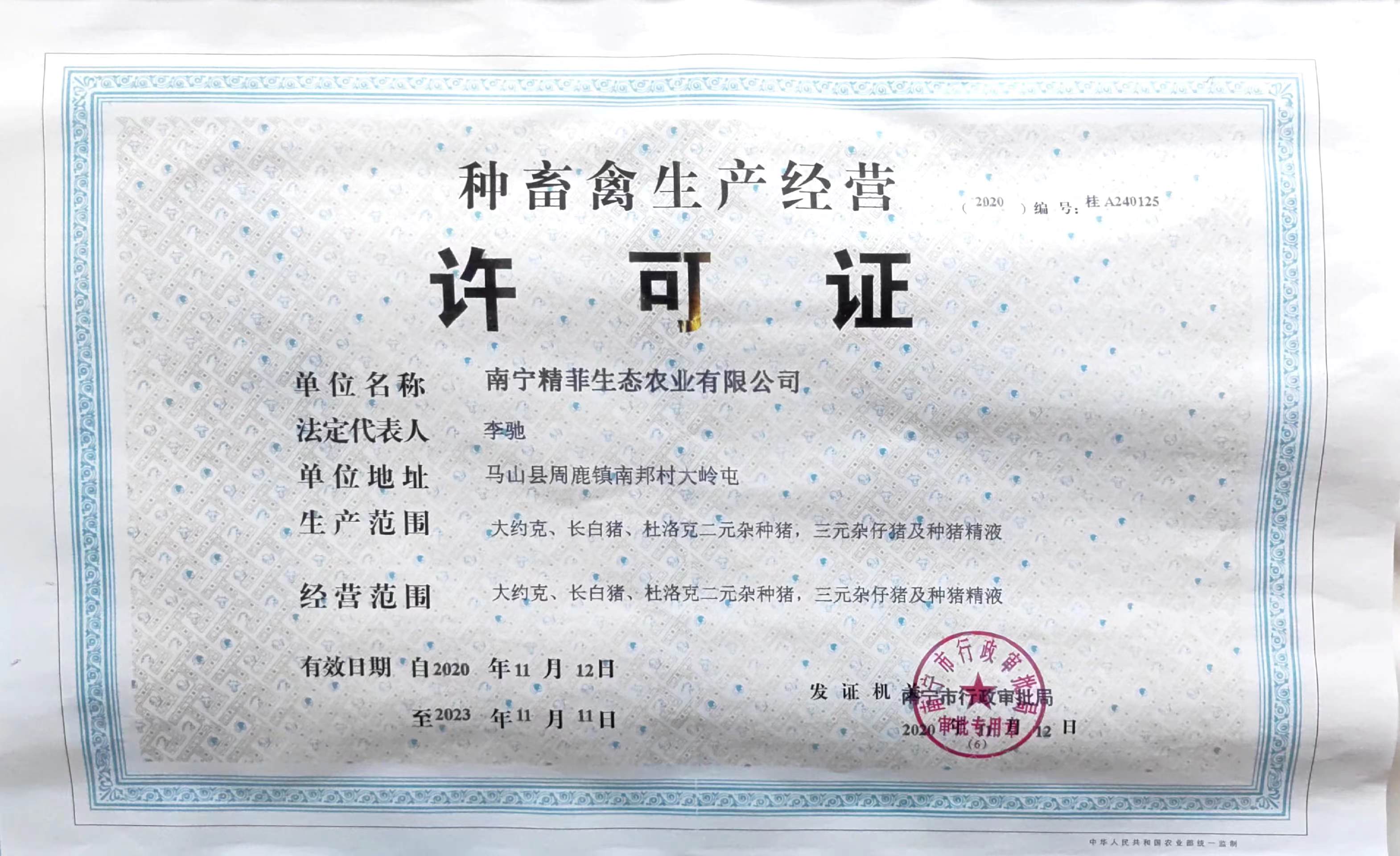 ��������������֤20.11-23.11