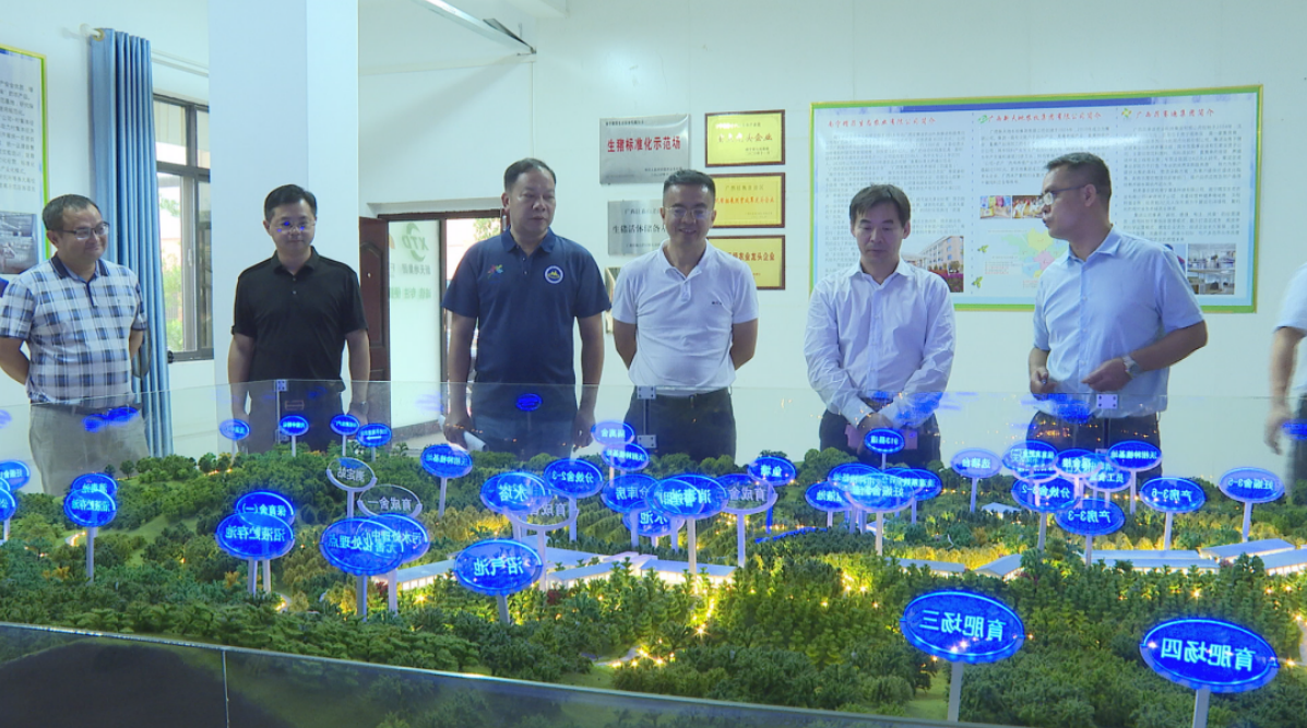 �й����ʷ�ƶ��������������һ�е����ƹ�˾������������Ч�������ʹ�����Ŀ