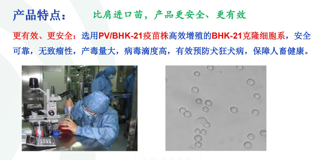 ��Ȯ����