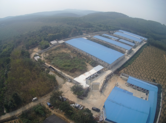 ���ι�˾������