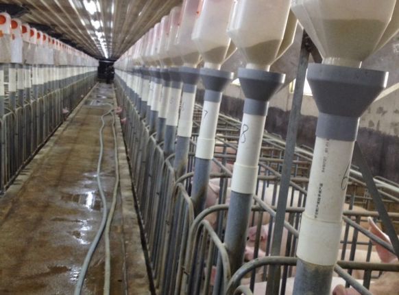 �����Զ�ι��ϵͳ