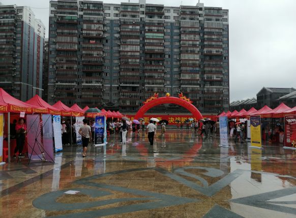 ����Ƹ��������������������