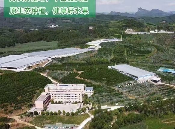 ��ɽ���������ָ�ݪֲ԰��