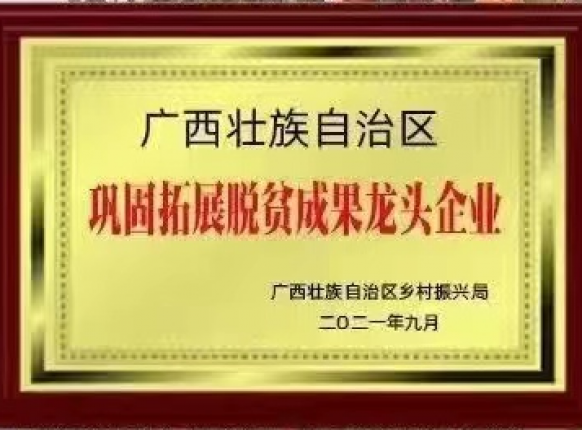 ��ƶЧ����ͷ��ҵ