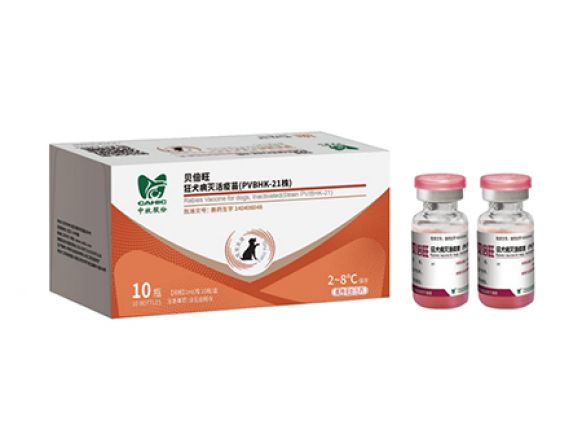 ��Ȯ����