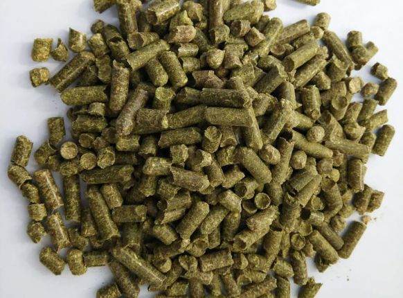 ������������������