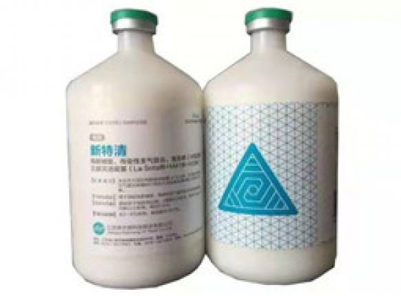 һ������������������ʡʱʡ�����������������͡���֧���������������������غǻ�