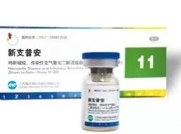  �����¡��ء�֧�����հ� ע��Ч������������������ȫ